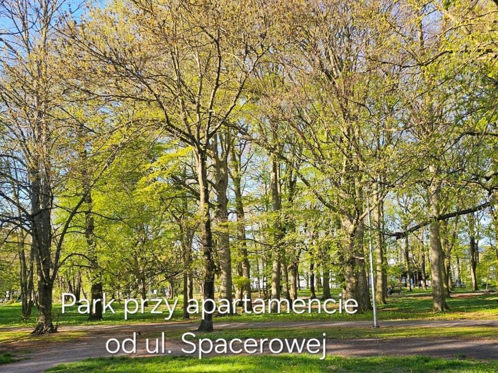 Apartament Z Garazem *